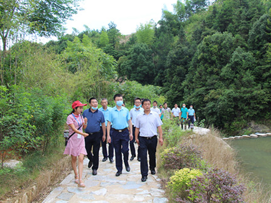 鄂旅投咸寧集團與九宮山管委會聯(lián)合組織黨建調(diào)研活動,助力鄉(xiāng)村振興發(fā)展
